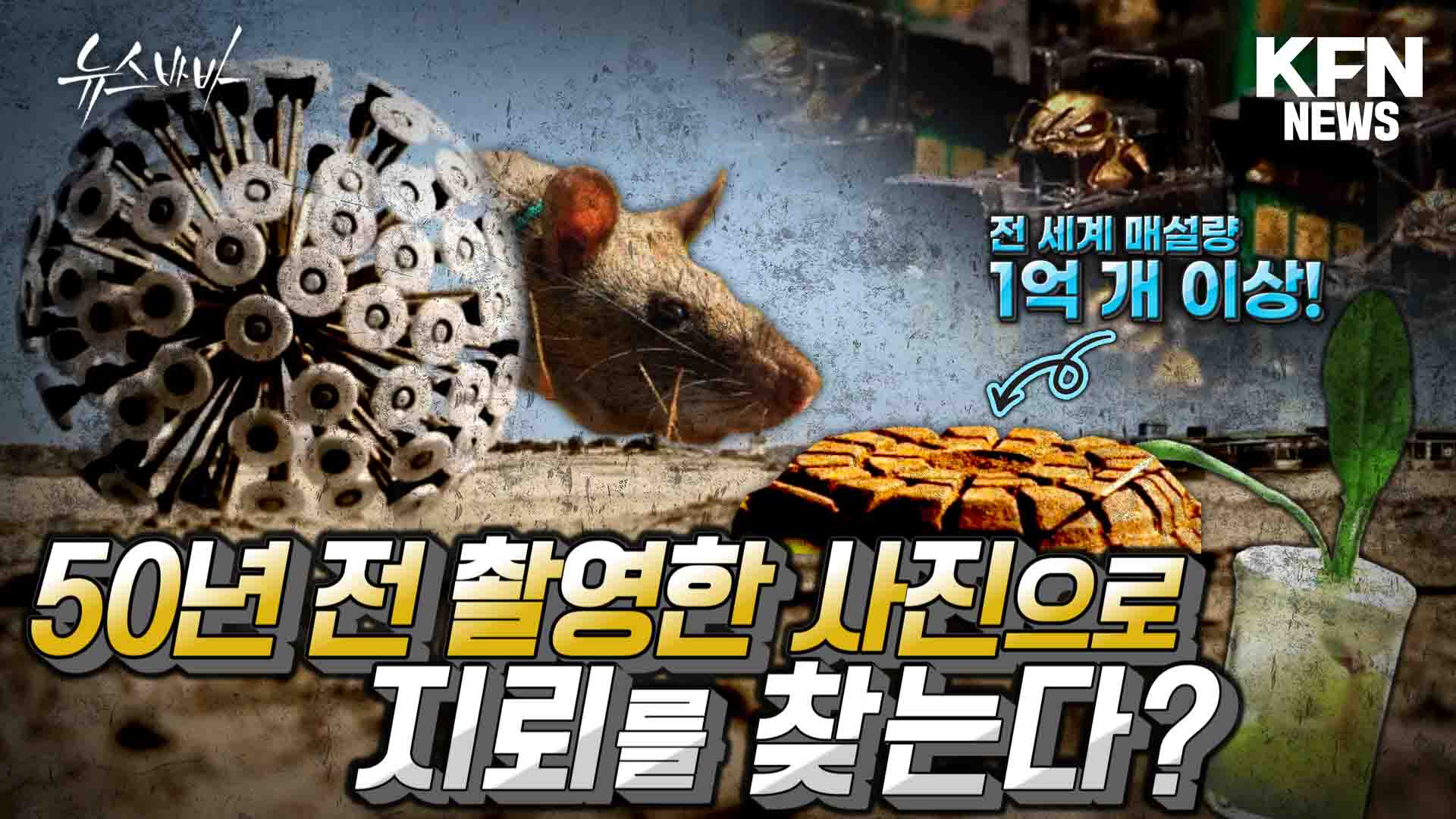 전 세계 매설량 1억 개 이상! 50년 전 촬영한 사진으로 지뢰를 찾는다?